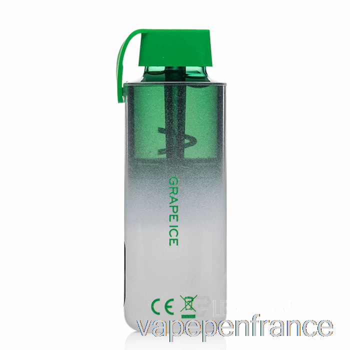 Vozol Neon 10000 Stylo Jetable à Glace Au Raisin